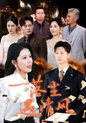 离婚而已（74集）全集一网打尽