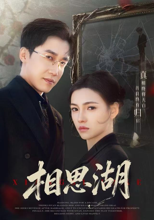 相思湖（66集）高分佳作免费看