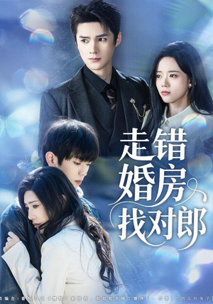 走错婚房找对郎（50集）上热门短剧