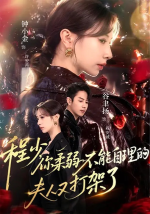 程少你柔弱不能自理的夫人又打架了（60集）短剧完整版免费