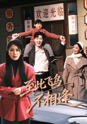 至此飞鸟不相逢（70集）好看的短剧