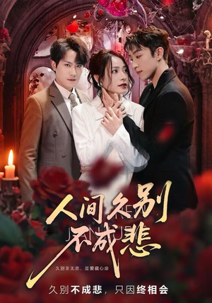 人间久别不成悲（80集）一起追短剧吧