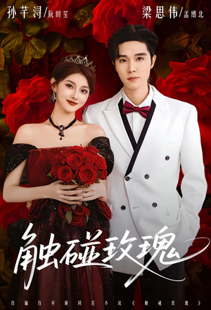 触碰玫瑰（80集）精彩短剧后续