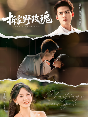 拆家野玫瑰（80集）一口气看完全集