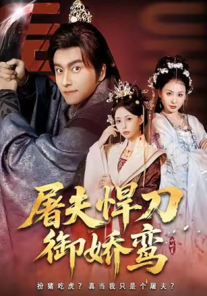 屠夫悍刀御娇鸾（81集）热播古装短剧