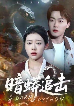 暗蟒追击（35集）精彩短剧上线