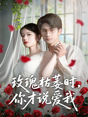 玫瑰枯萎时你才说爱我（100集）真的好看吗