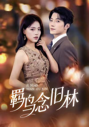 羁鸟念旧林（60集）短剧在线更新