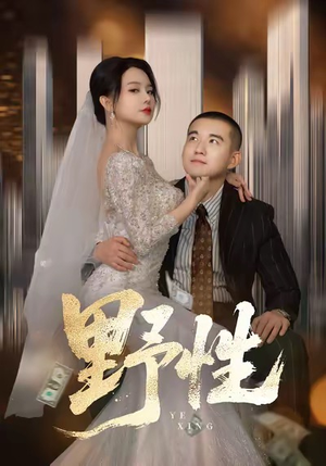 分手后，顶头上司要嫁我（70集）独家资源免费看