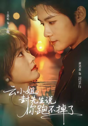 云小姐，封先生说你跑不掉了（89集）热门了短剧
