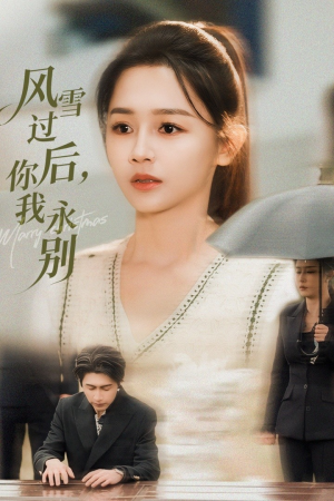 风雪过后你我永别(51集) 风雪过后你我永别(51集)全集免费观看