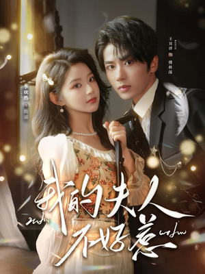 我的夫人不好惹（60集）最后一集