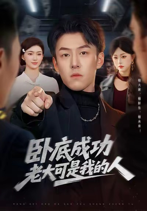 卧底成功老大可是我的人(99集) 卧底成功老大可是我的人(99集)最后的大结局