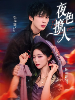 夜色撩人（76集）短剧解说全集