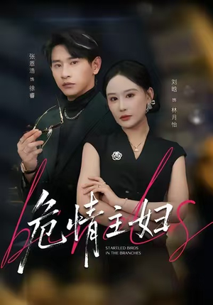 危情主妇（60集）全集下载