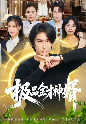 极品全才神婿（67集）热门短剧分享