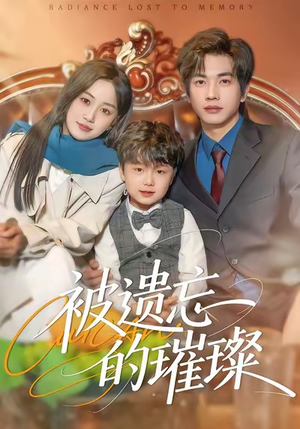 被遗忘的璀璨（80集）短剧在线更新