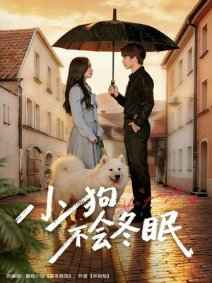 小狗不会冬眠（70集）百度网盘资源