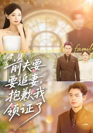 前夫要追妻，抱歉我领证了（81集）热门短剧追到爽