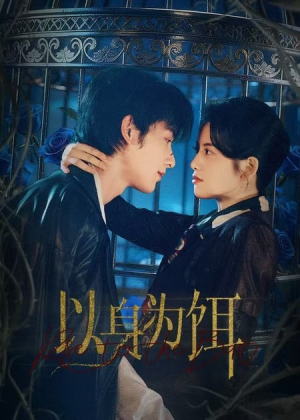 以身为饵（61集）看过的人都说好