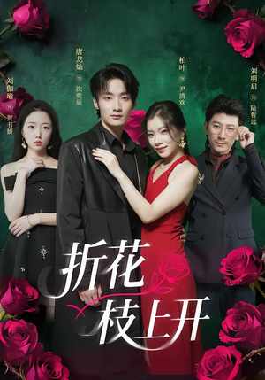 折花枝上开（51集）精彩短剧合集