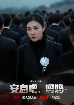 安息吧，妈妈（60集）百度网盘在线看