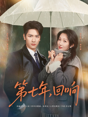 第七年回响（81集）第一季