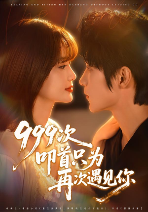 999次叩首只为再次遇见你（80集）观看软件