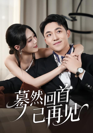 蓦然回首已再见（45集）剧情简介