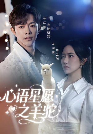 心语星愿之羊驼（60集）超火短剧抢先看