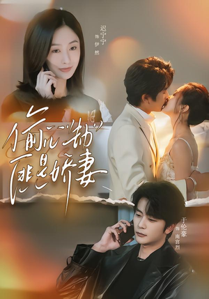 偷心劫匪是娇妻(61集) 偷心劫匪是娇妻(61集)最新火爆短剧