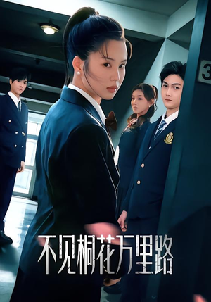 不见桐花万里路（71集）第二季