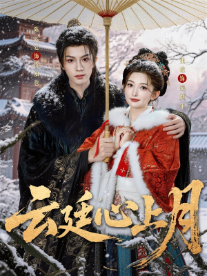 云廷心上月（80集）全剧免费观看