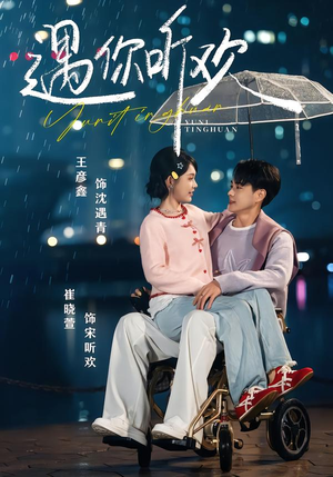 遇你听欢（80集）免费版