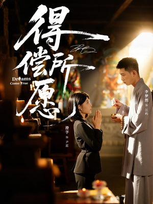 得偿所愿（65集）热门短剧推荐
