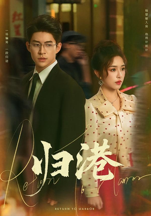 归港（63集）精彩的短剧