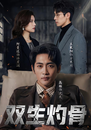 双生灼骨(60集) 双生灼骨(60集)短剧全集免费