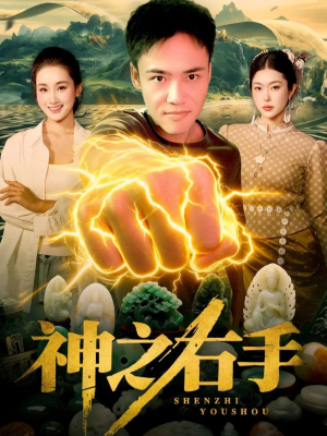 神之右手(100集) 神之右手(100集)免费短剧片段