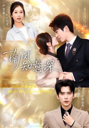 南风知意深（40集）甜宠短剧追到爽