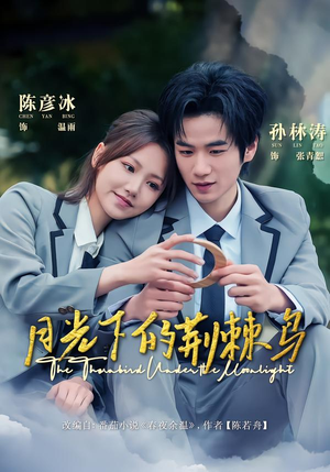 月光下的荆棘鸟(80集) 月光下的荆棘鸟(80集)短剧介绍