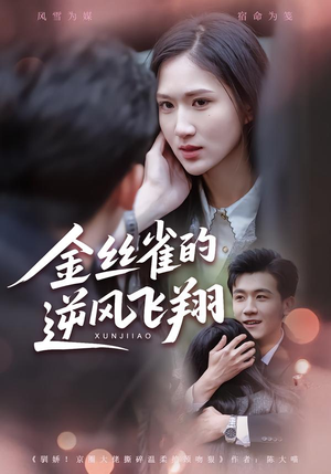 金丝雀的逆风飞翔（80集）真的太精彩了