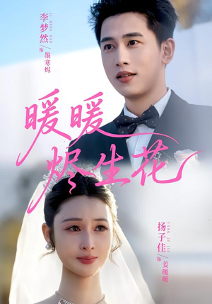 暖暖烬生花（65集）甜宠短剧追到爽