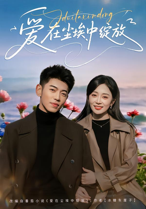 爱在尘埃中绽放（86集）UC网盘在线看