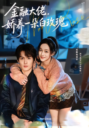金融大佬，娇养一朵白玫瑰（70集）演员表
