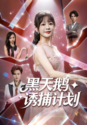 黑天鹅诱捕计划（81集）短剧太精彩了