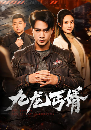 九龙丐婿（81集）免费观看