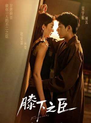 膝下之臣（56集）网盘在线观看