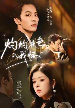 灼灼夜色入我怀（60集）好看短剧分享