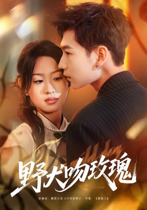 野犬吻玫瑰（70集）1-102集