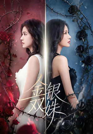 金银双姝（80集）精彩片段